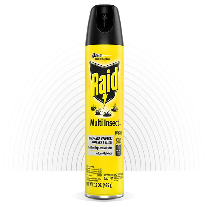 RAID INSECT KILLER...